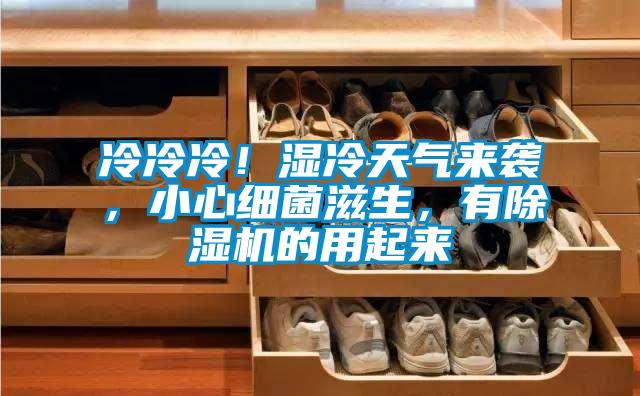 冷冷冷!濕冷天氣來襲,小心細菌滋生,有除濕機的用起來