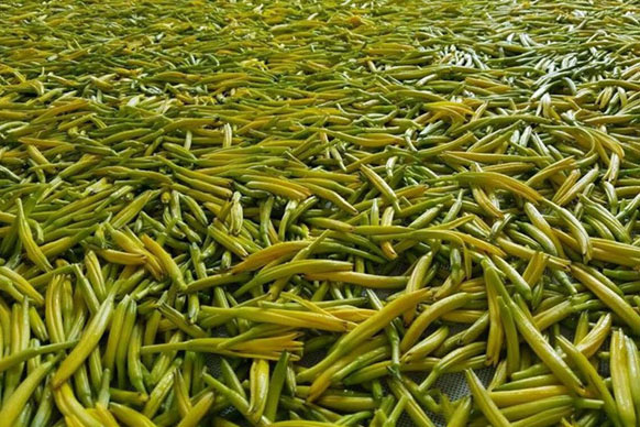 無硫金針菜烘干如何保持品相？不發黑？