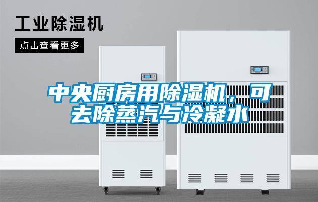 中央廚房用除濕機，可去除蒸汽與冷凝水