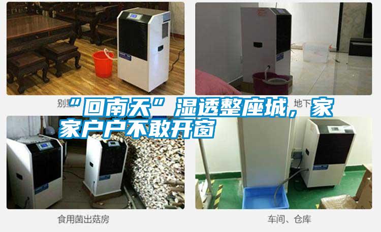 “回南天”濕透整座城，家家戶戶不敢開窗