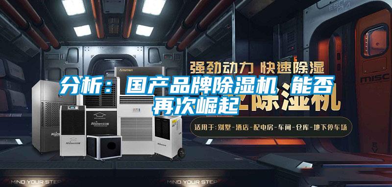 分析:國產品牌除濕機 能否再次崛起