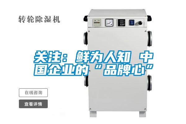 關注：鮮為人知 中國企業的“品牌心”