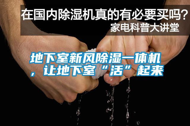 地下室新風除濕一體機,讓地下室“活”起來