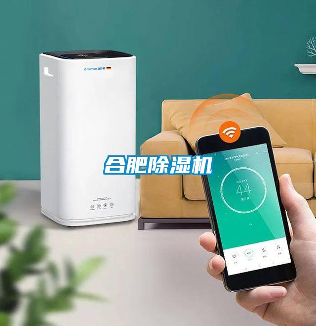 合肥除濕機(jī)