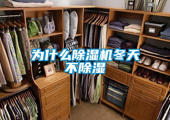 為什么除濕機冬天不除濕