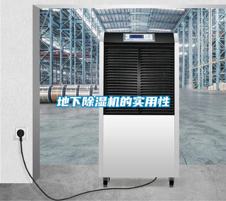 地下除濕機(jī)的實(shí)用性