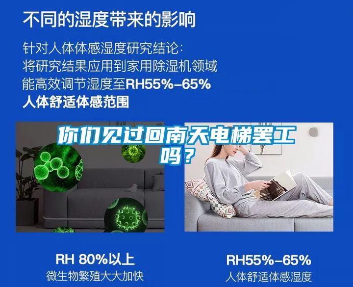 你們見過回南天電梯罷工嗎?