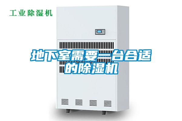 地下室需要一臺合適的除濕機