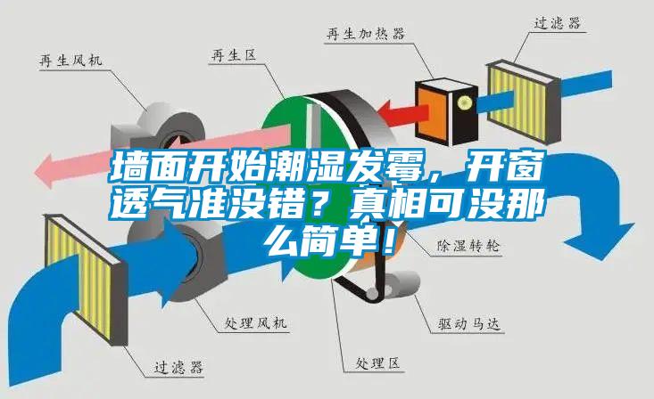墻面開始潮濕發霉，開窗透氣準沒錯？真相可沒那么簡單！