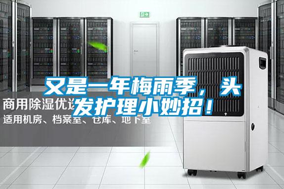 又是一年梅雨季,頭發護理小妙招!