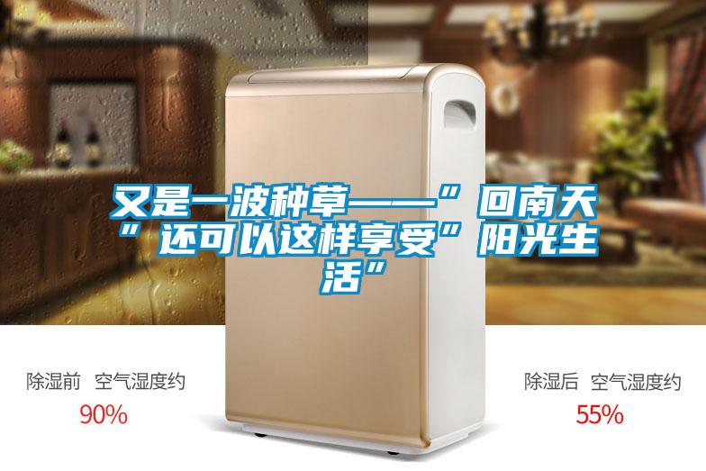 又是一波種草——”回南天”還可以這樣享受”陽光生活”