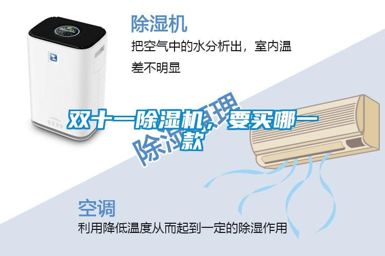 雙十一除濕機，要買哪一款