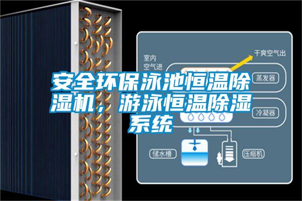 安全環(huán)保泳池恒溫除濕機,游泳恒溫除濕系統(tǒng)