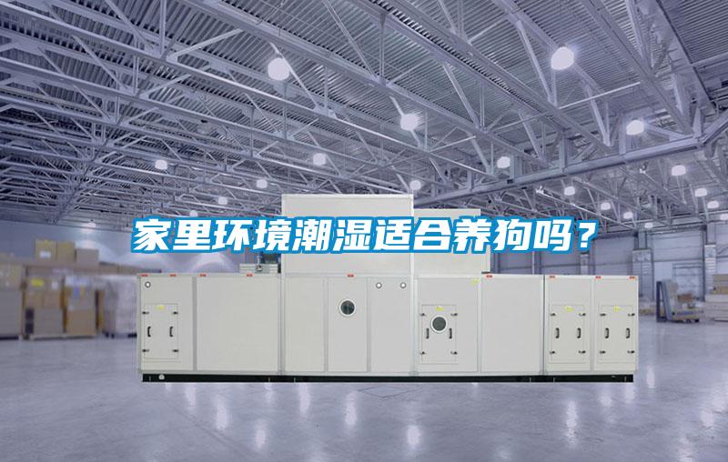 家里環(huán)境潮濕適合養(yǎng)狗嗎？