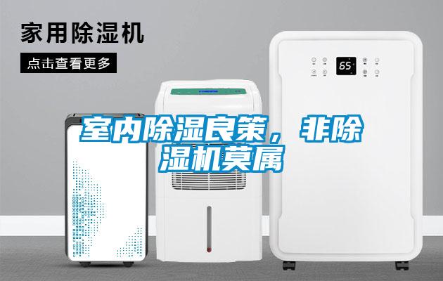 室內除濕良策，非除濕機莫屬