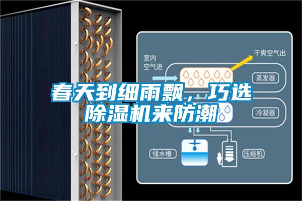 春天到細雨飄,巧選除濕機來防潮