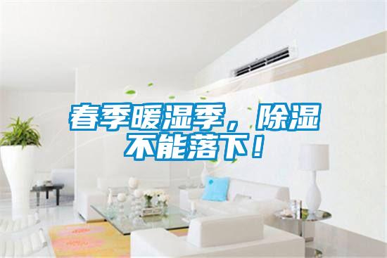 春季暖濕季，除濕不能落下！