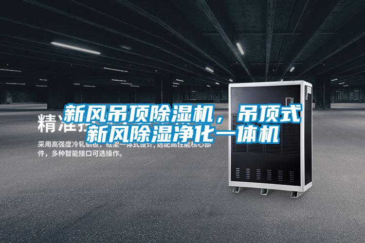 新風吊頂除濕機,吊頂式新風除濕凈化一體機