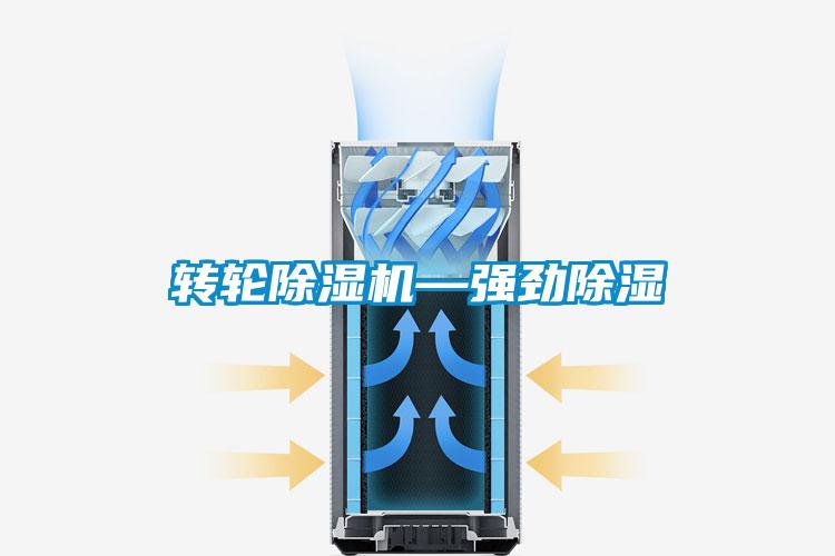 轉輪除濕機—強勁除濕