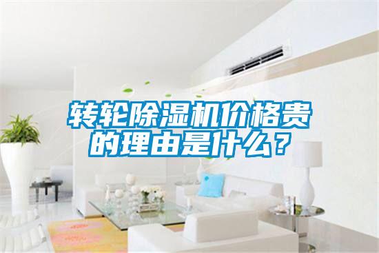 轉(zhuǎn)輪除濕機價格貴的理由是什么?