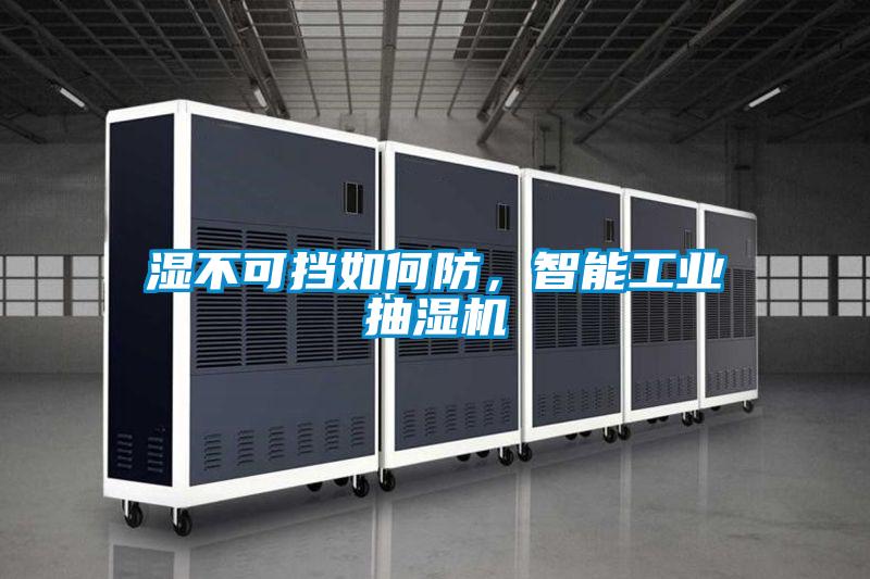 濕不可擋如何防，智能工業(yè)抽濕機(jī)