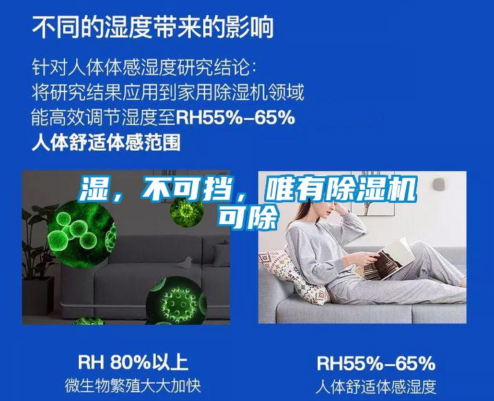 濕，不可擋，唯有除濕機(jī)可除