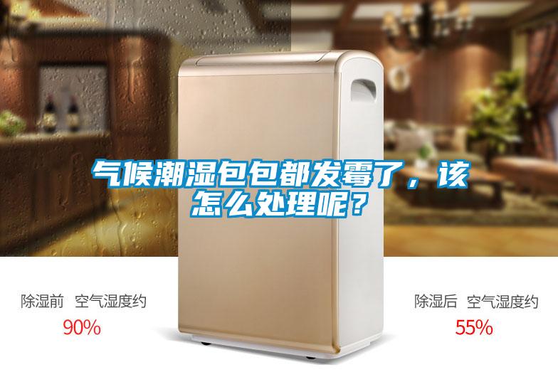 氣候潮濕包包都發霉了，該怎么處理呢？