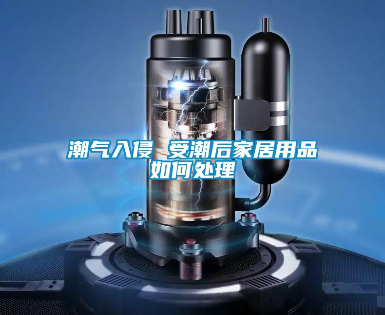 潮氣入侵 受潮后家居用品如何處理