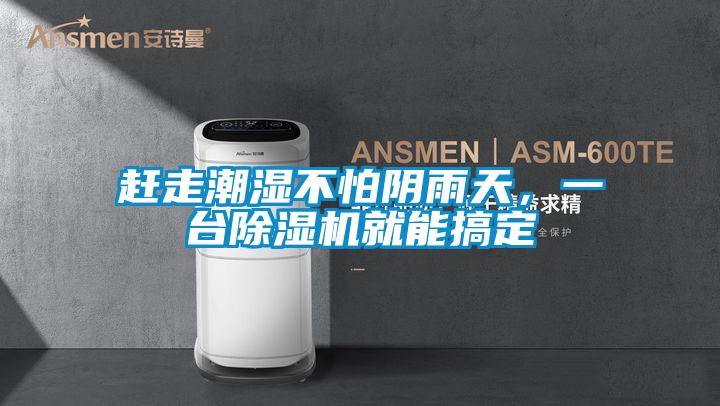 趕走潮濕不怕陰雨天,一臺除濕機就能搞定