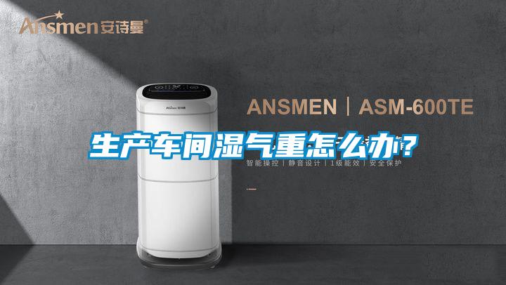 生產(chǎn)車間濕氣重怎么辦?