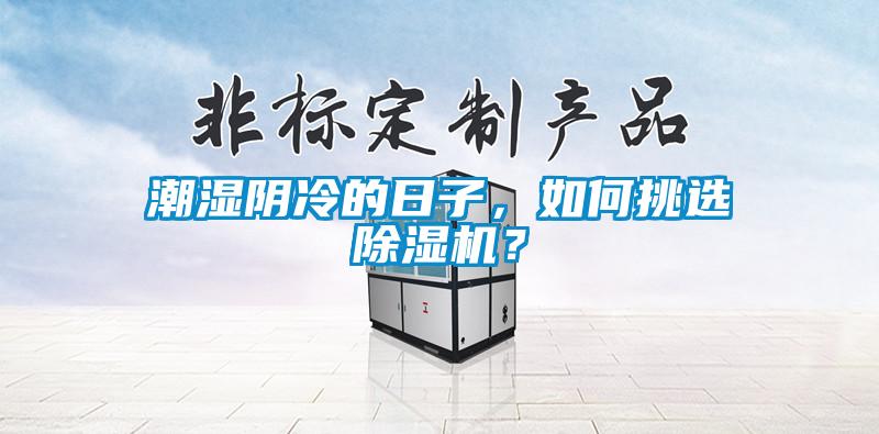潮濕陰冷的日子，如何挑選除濕機？