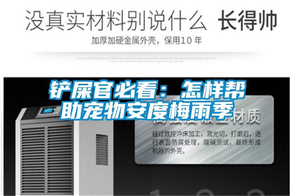 鏟屎官必看:怎樣幫助寵物安度梅雨季