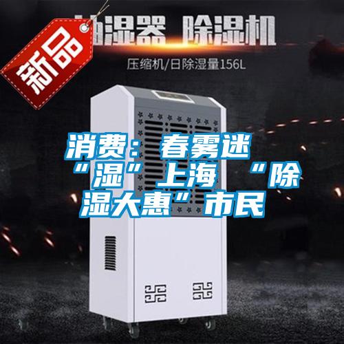 消費:春霧迷“濕”上海 “除濕大惠”市民