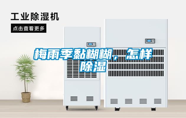 梅雨季黏糊糊,怎樣除濕