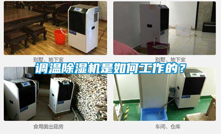 調(diào)溫除濕機是如何工作的？