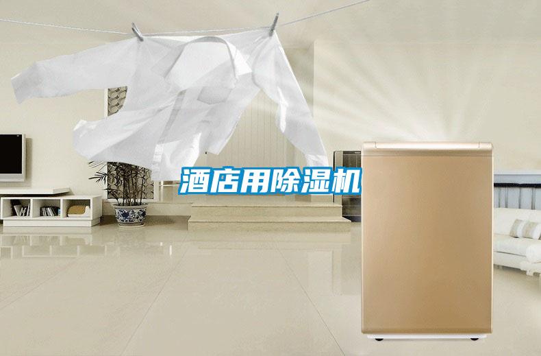 酒店用除濕機