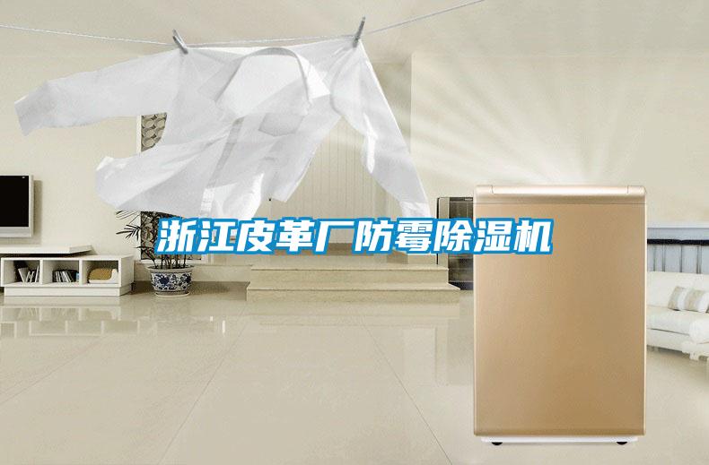 浙江皮革廠防霉除濕機