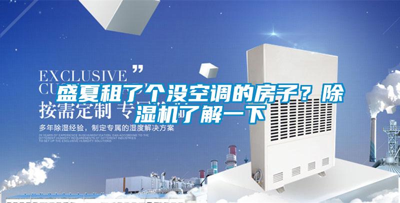 盛夏租了個(gè)沒空調(diào)的房子？除濕機(jī)了解一下