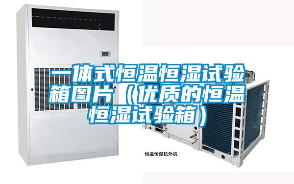 一體式恒溫恒濕試驗箱圖片(優質的恒溫恒濕試驗箱)