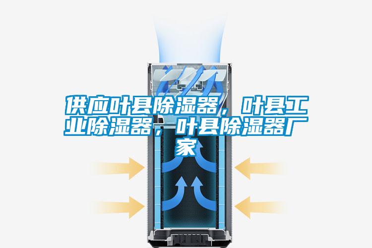 供應葉縣除濕器，葉縣工業除濕器，葉縣除濕器廠家