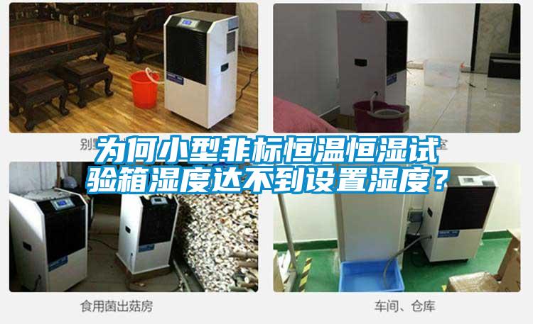 為何小型非標恒溫恒濕試驗箱濕度達不到設置濕度?