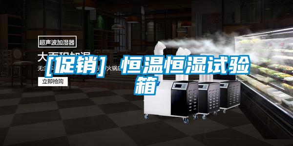 [促銷] 恒溫恒濕試驗箱