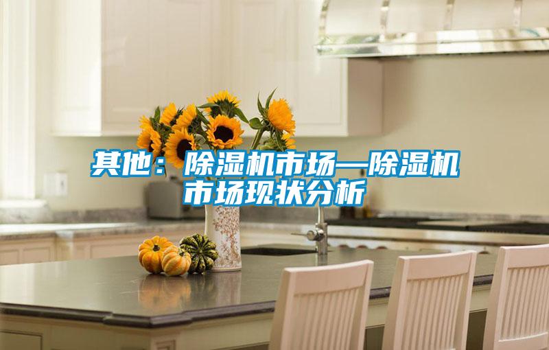 其他:除濕機市場—除濕機市場現狀分析