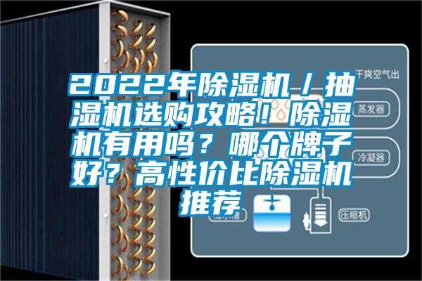 2022年除濕機／抽濕機選購攻略！除濕機有用嗎？哪個牌子好？高性價比除濕機推薦