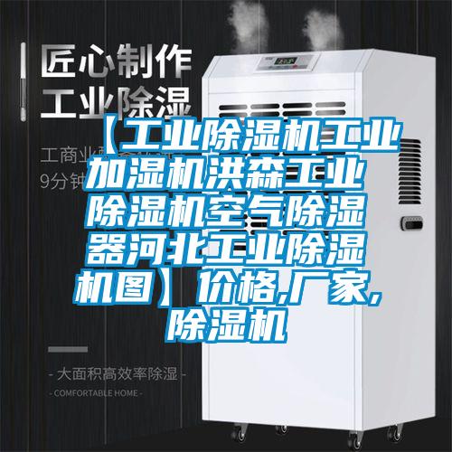 【工業(yè)除濕機工業(yè)加濕機洪森工業(yè)除濕機空氣除濕器河北工業(yè)除濕機圖】價格,廠家,除濕機
