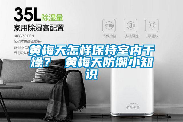 黃梅天怎樣保持室內(nèi)干燥? 黃梅天防潮小知識(shí)