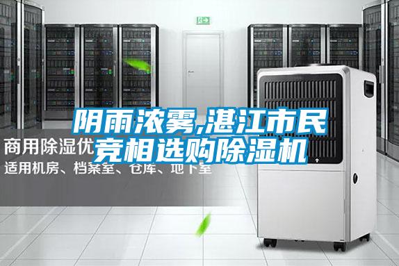 陰雨濃霧,湛江市民競相選購除濕機