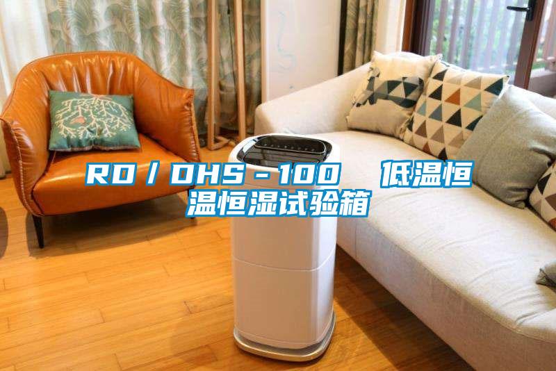 RD/DHS-100 低溫恒溫恒濕試驗箱
