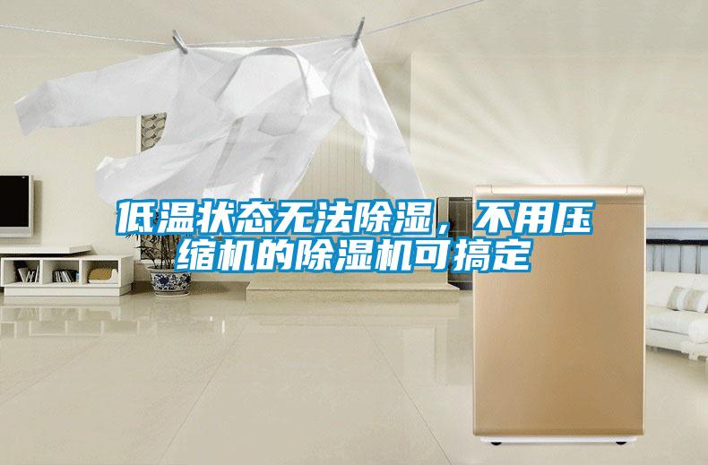 低溫狀態無法除濕，不用壓縮機的除濕機可搞定