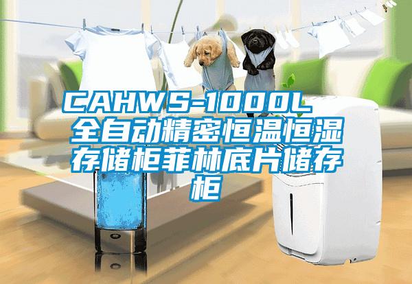 CAHWS-1000L  全自動(dòng)精密恒溫恒濕存儲(chǔ)柜菲林底片儲(chǔ)存柜